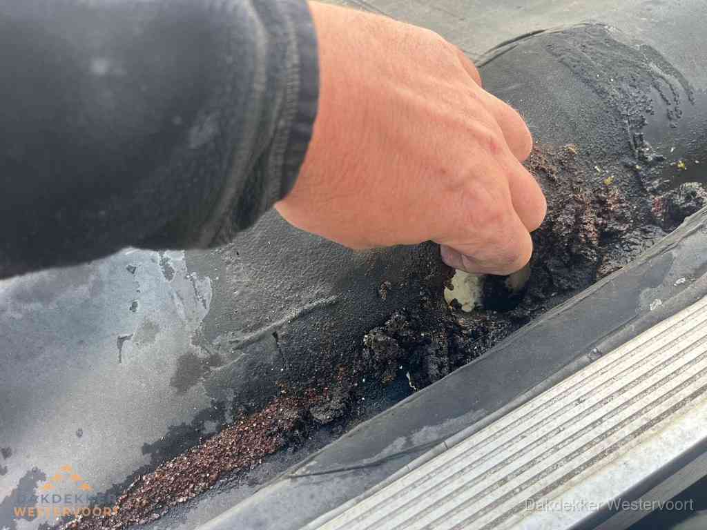 Plat Dak Reparatie Westervoort Plat Dak Reparatie Westervoort