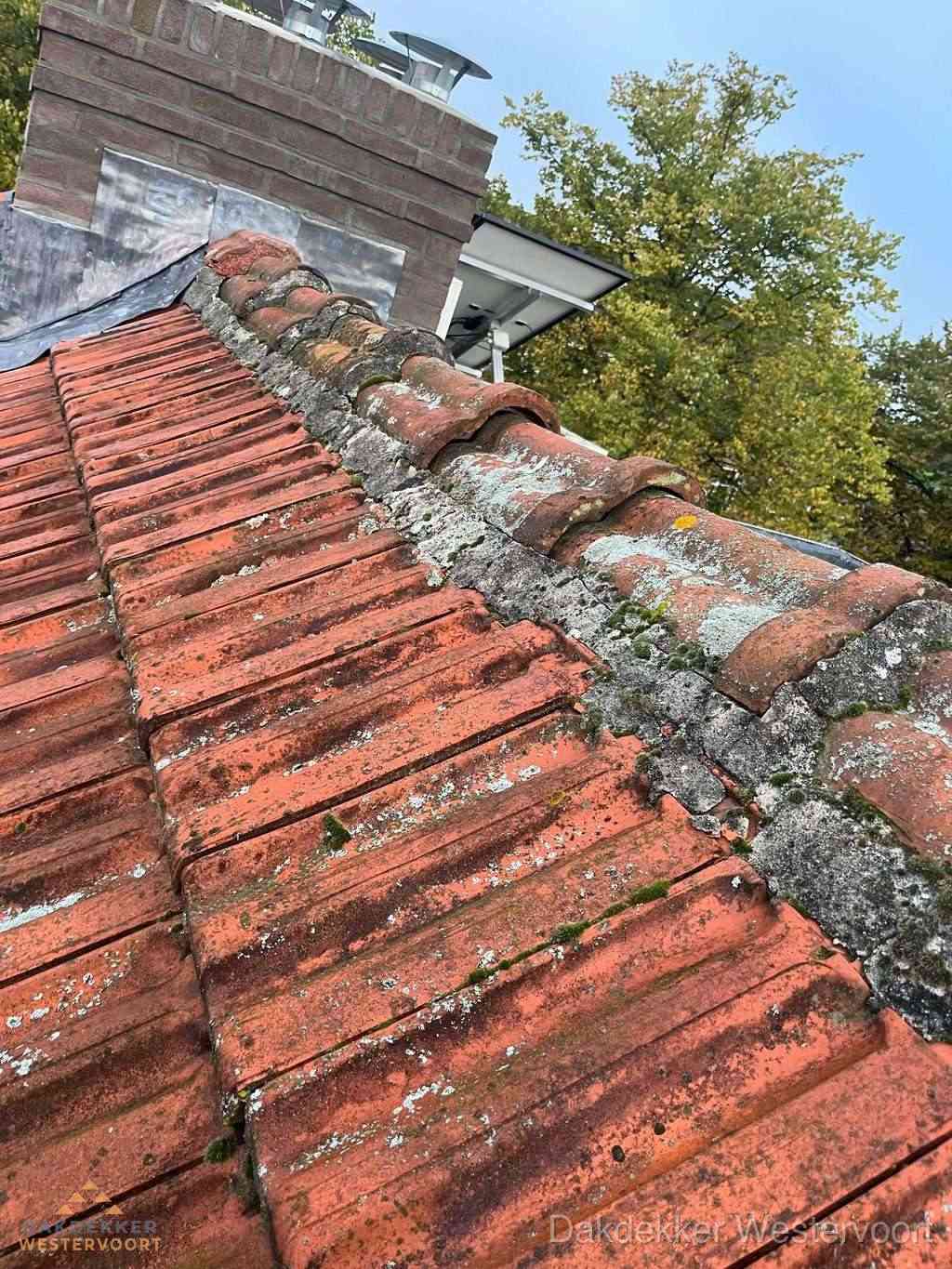 Renovatie Hellend Dak Westervoort Renovatie Hellend Dak Westervoort